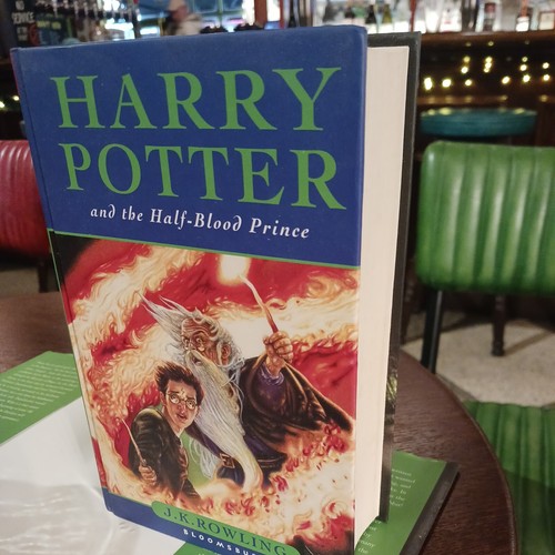 Harry potter and the - potter,